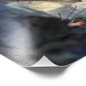 Schöner Wolf Fotodruck (Ecke)