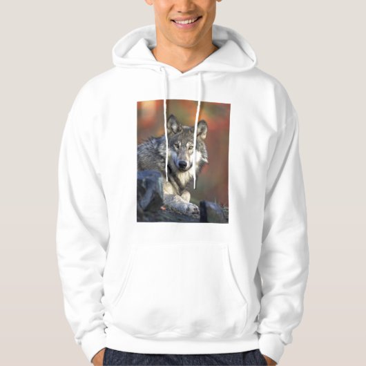 Schöner Wolf Hoodie (Vorderseite)