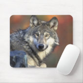 Schöner Wolf Mousepad (Mit Mouse)