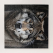 Schöner Wolf Puzzle (Horizontal)