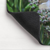 Schöner Yellow Song Bird Mousepad (Ecke)