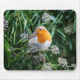 Schöner Yellow Song Bird Mousepad