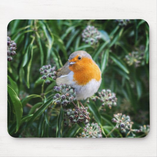 Schöner Yellow Song Bird Mousepad (Vorne)