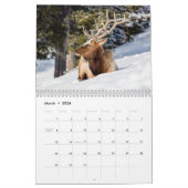Schöner Yellowstone-Kalender Kalender (Mär 2026)