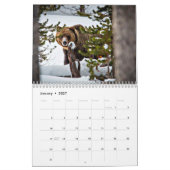 Schöner Yellowstone-Kalender Kalender (Jan 2027)