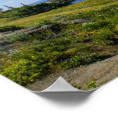 Schöner Yellowstone-See Poster (Ecke)
