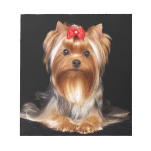Schöner Yorkshire Terrier Notizblock