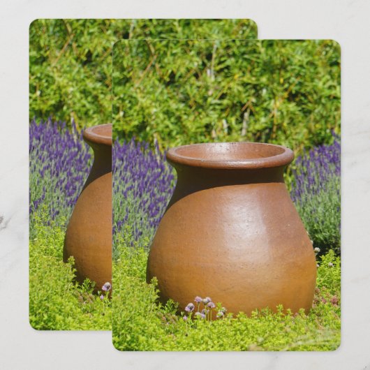 Schöner Ziertopf (Vorne/Hinten)