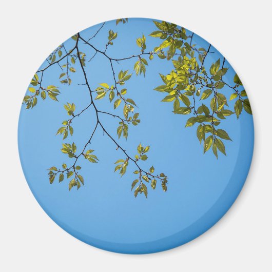 schöner Zweig mit grünen und gelben Blätter umarme Magnet (Vorne)