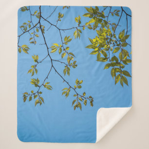 schöner Zweig mit grünen und gelben Blätter umarme Sherpadecke