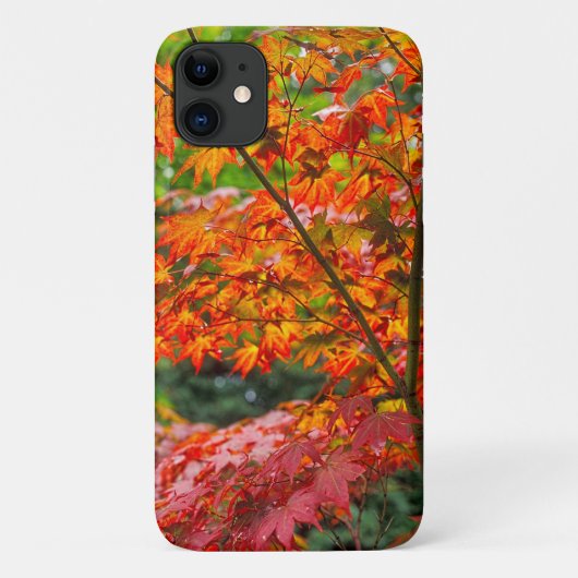Schönes Acer iPhone 11 Fall Case-Mate iPhone Hülle (Rückseite)