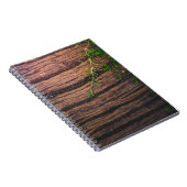 schönes altes Holz Notizblock (Rechte Seite)