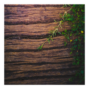 schönes altes Holz Poster