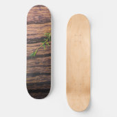 schönes altes Holz Skateboard (Vorderseite)