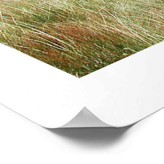 Schönes Angeln Poster (Ecke)