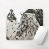 Schönes Appaloosa Pferd, Western, Appetit Mousepad (Mit Mouse)