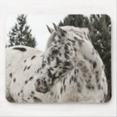 Schönes Appaloosa Pferd, Western, Appetit Mousepad (Vorne)