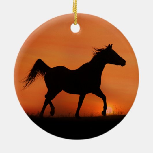 Schönes arabisches Pferdemuseum Keramikornament (Hinten)