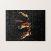 Schönes arabisches Pferdepuzzlespiel Puzzle (Horizontal)