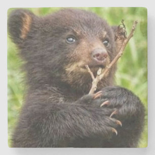 Schönes Baby Bear Steinuntersetzer