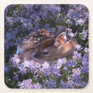 Schönes Baby Deer Untersetzer Set