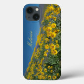 Schönes Balsamroot Bloom Case-Mate iPhone Hülle (Rückseite)