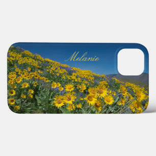 Schönes Balsamroot Bloom Case-Mate iPhone Hülle