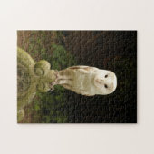 Schönes Barn Owl Puzzle/Jigsaw Puzzle (Horizontal)