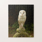 Schönes Barn Owl Puzzle/Jigsaw Puzzle (Vertikal)