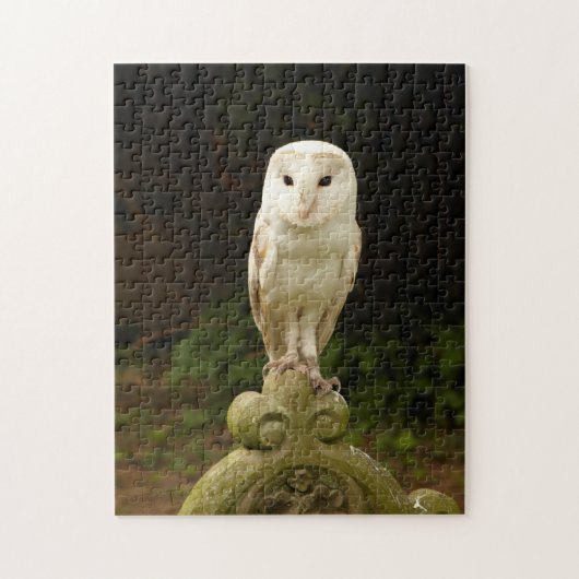 Schönes Barn Owl Puzzle/Jigsaw Puzzle (Vertikal)