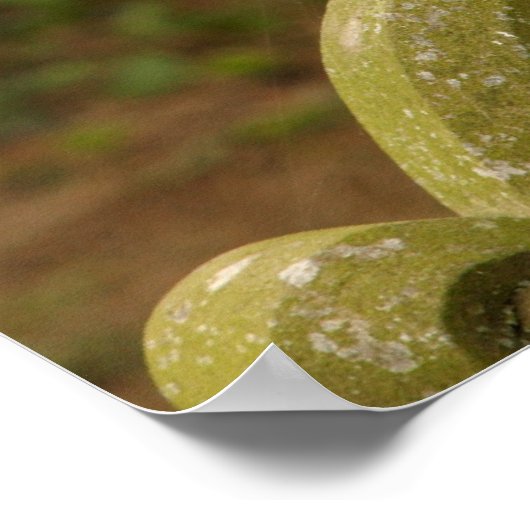 Schönes Barschenauge Poster/Print Poster (Ecke)