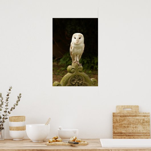 Schönes Barschenauge Poster/Print Poster (Küche)