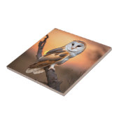 Schönes Barschuhn Fliese (Seite)