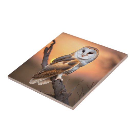 Schönes Barschuhn Fliese (Seite)