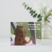 Schönes Bartagamen Haustier Erinnerungsbild Postkarte (Stehend Vorderseite)