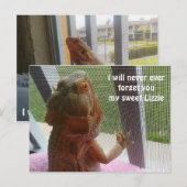 Schönes Bartagamen Haustier Erinnerungsbild Postkarte (Vorne/Hinten)