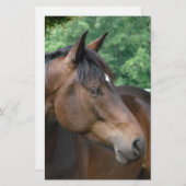 Schönes Bay Horse Briefpapier (Vorne/Hinten)