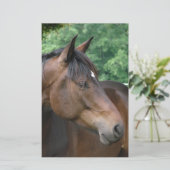 Schönes Bay Horse Briefpapier (Stehend Vorderseite)