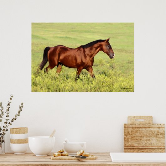 Schönes Bay Horse Poster (Küche)