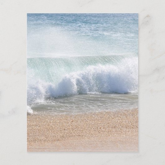 Schönes Beach Summer Tropical Wedding Menü (Rückseite)