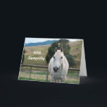 Schönes Beileid des White Horse Appaloosa Foto Karte<br><div class="desc">Die Appaloosa ist eine amerikanische Pferdezucht,  die am besten für ihr farbenprächtiges gepunktetes Mantel-Muster bekannt ist. Es ist eine der beliebtesten Rassen in den Vereinigten Staaten und ist das offizielle Staat Pferd von Idaho.  Sie sind bekannt als eine vielseitige Rasse,  die in vielen Arten von Reitsport-Aktivitäten verwendet.</div>