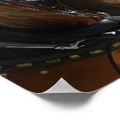 Schönes Belgisch Poster (Ecke)