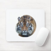 Schönes Bengalischer-Tiger-Gesichtsfoto Mousepad (Mit Mouse)