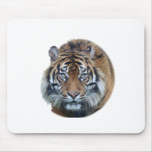 Schönes Bengalischer-Tiger-Gesichtsfoto Mousepad