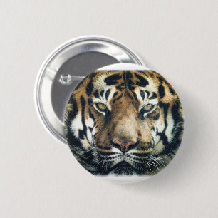 Schönes Bengalisches Tiger Face Foto Button