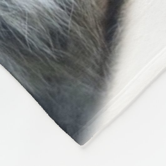 Schönes Bengalisches Tiger Face Foto Fleecedecke (Ecke)