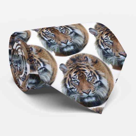 Schönes Bengalisches Tiger Face Foto Krawatte (Gerollt)