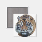 Schönes Bengalisches Tiger Face Foto Magnet (Vorderseite/Rückseite)