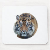 Schönes Bengalisches Tiger Face Foto Mousepad (Vorne)