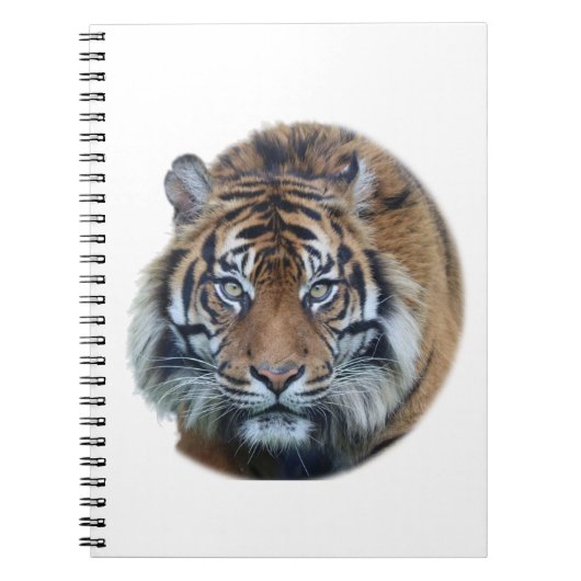 Schönes Bengalisches Tiger Face Foto Notizblock (Vorderseite)